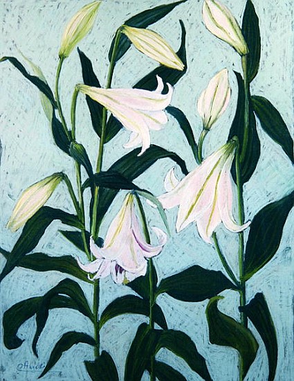 Lilies (pastel on paper)  od Cristiana  Angelini