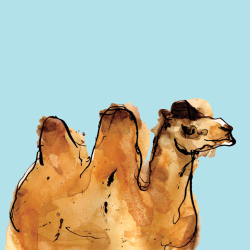 Horizontal Camel od Louise Cunningham