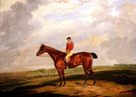 Racehorse with Jockey Up od D. the Younger Wolstenholme