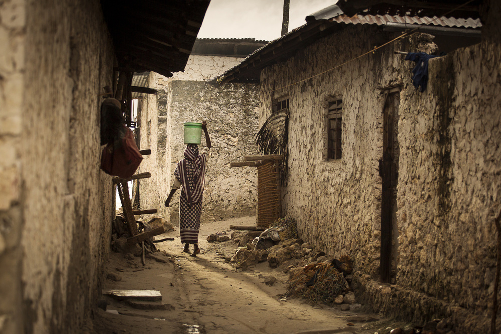Woman in the village od Dan Mirica