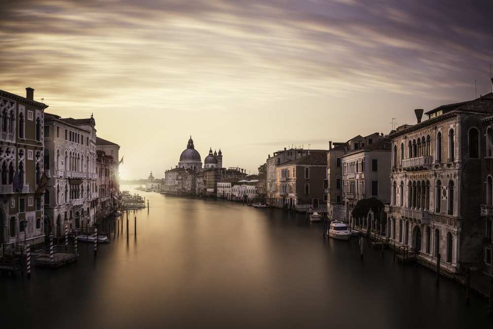 Venice od Dan Muntean