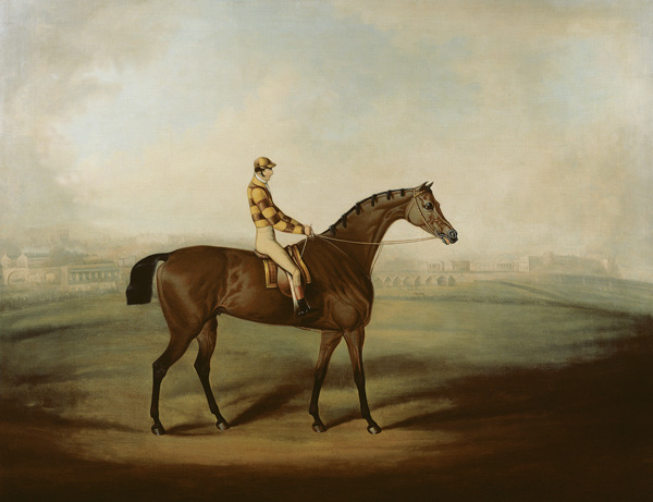 Portrait of Bruitandorf with jockey up and Chester Racecourse Beyond od Daniel Clowes