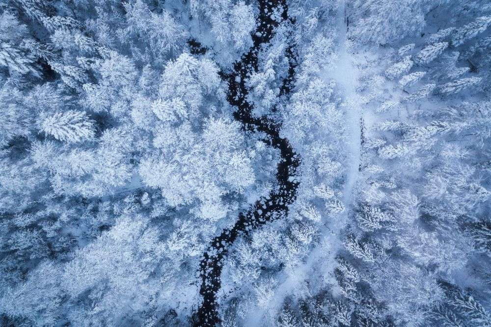 A Freezing Cold Beauty od Daniel Fleischhacker