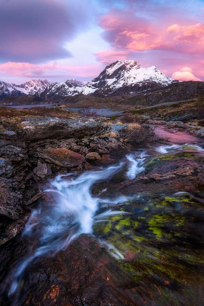 Pink Clouds in Norway od Daniel Gastager