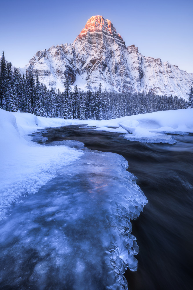 Winter in the Rockies od Daniel Gastager