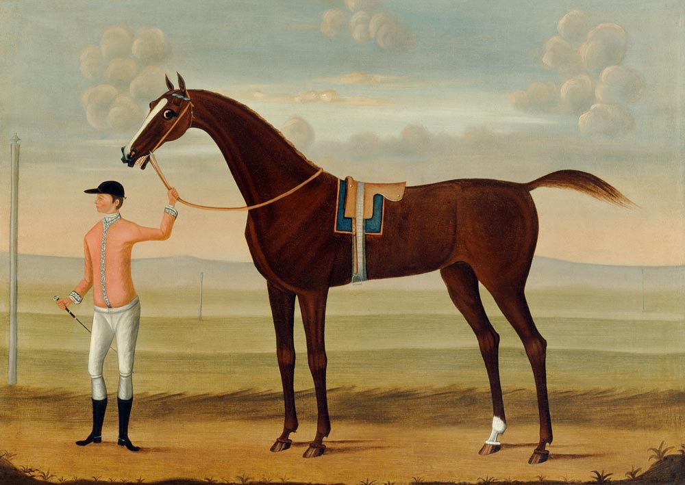 A Bay Racehorse with his Jockey on a Racecourse od Daniel Quigley