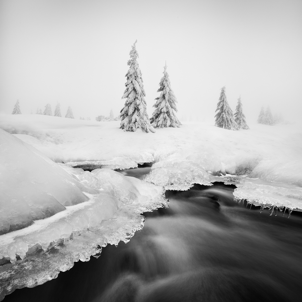 Ice creek... od Daniel Rericha