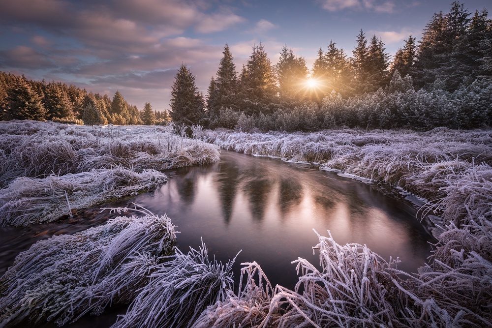 Frosty morning at the creek... od Daniel Rericha