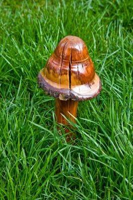 Wooden Mushroom od Dave Frederick