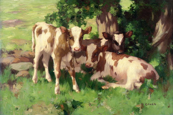 Three Calves in the Shade of a Tree od David Gauld