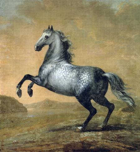The Little Englishman 's Horse od David Klocker Ehrenstrahl