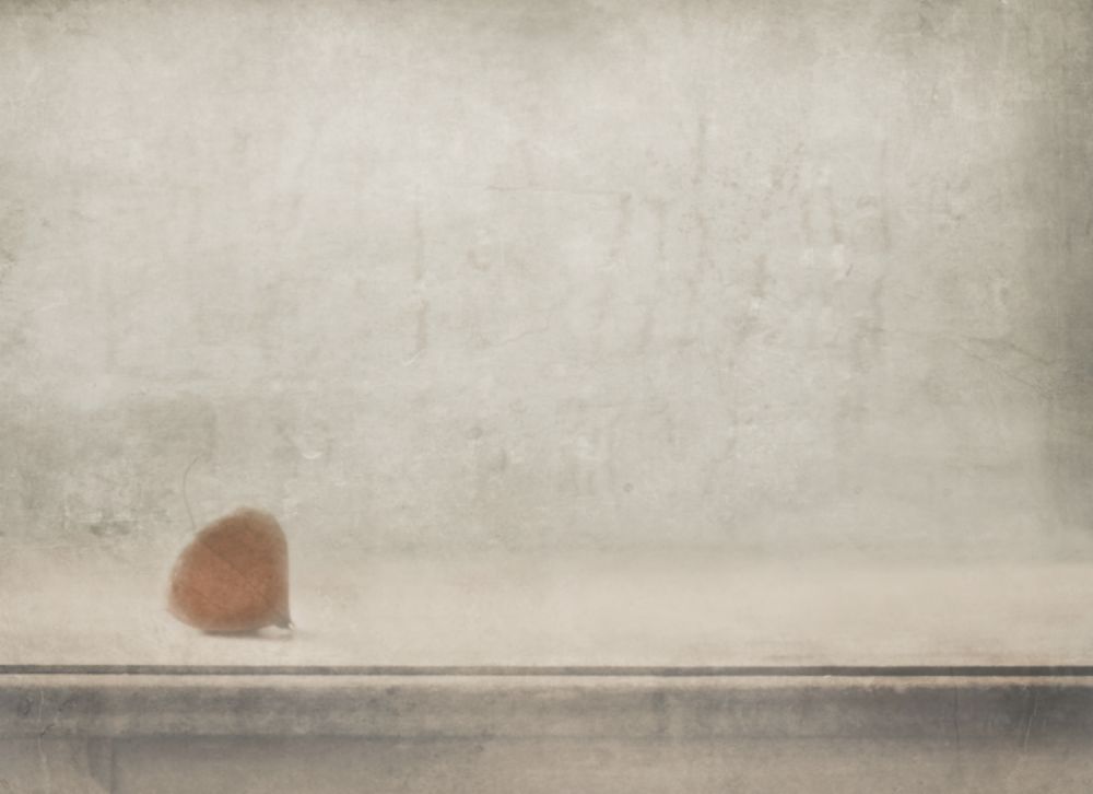 Solitude stands by the window od Delphine Devos