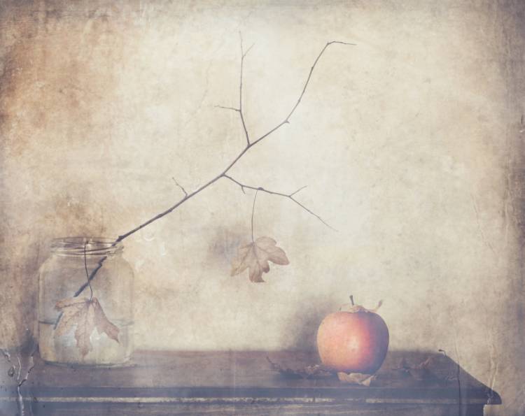 Fall, leaves, fall od Delphine Devos