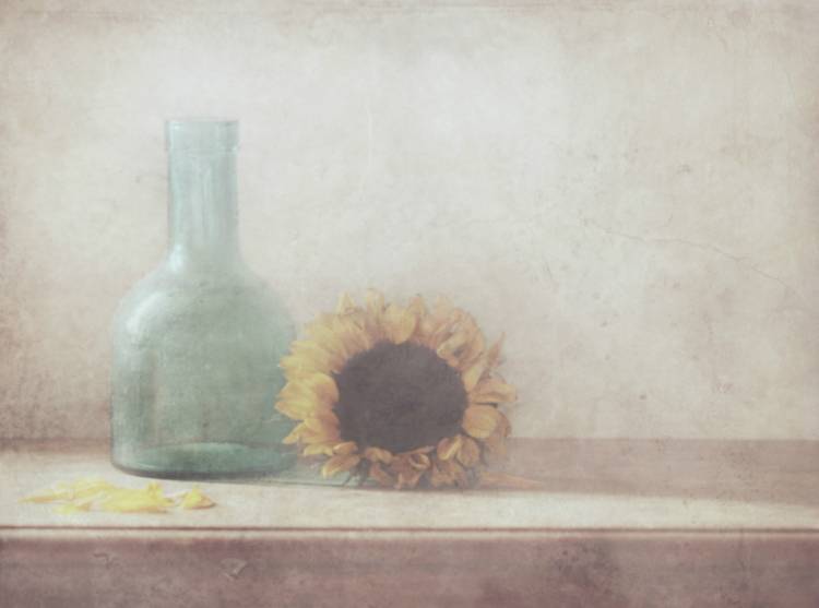 Sunflower od Delphine Devos