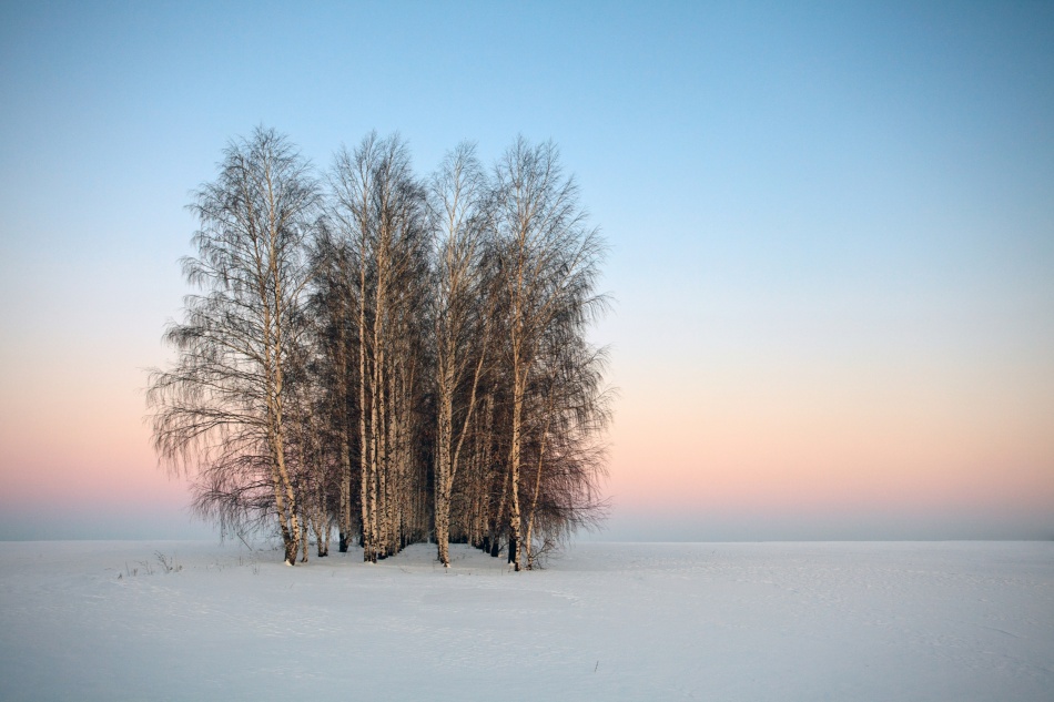 Frozen Spaces od Denis Belyaev