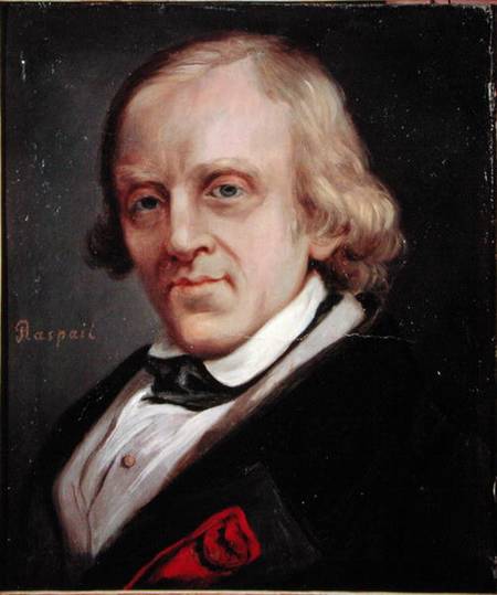 Francois Vincent Raspail (1794-1878) od Denis Bonnet