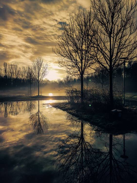Sonnenaufgang im Nebel am Cospudener See od Dennis Wetzel