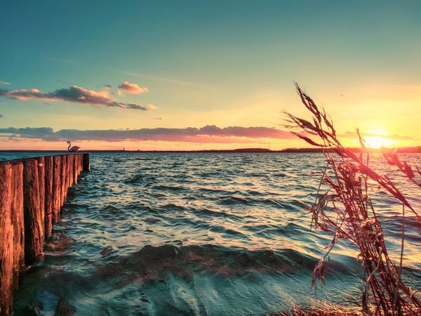 Sonnenuntergang am See mit Buhnen und Schilf od Dennis Wetzel