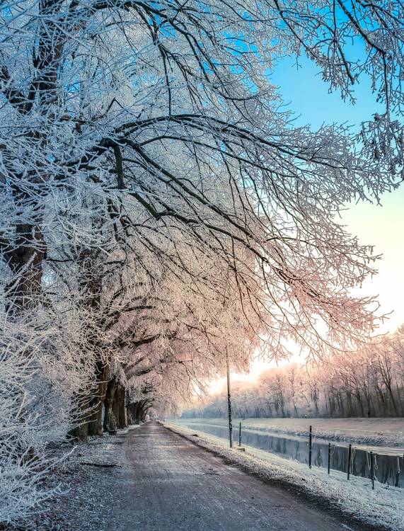 Weißer Winterwald an der Weißen Elster im Winter od Dennis Wetzel