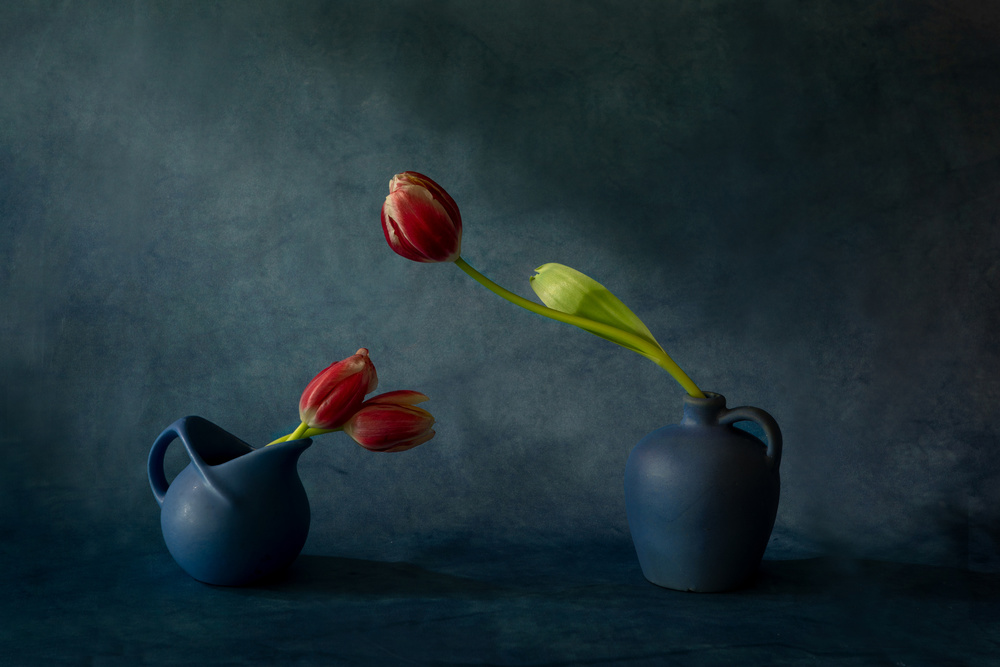 Tulips &amp; vases od Dennis Zhang