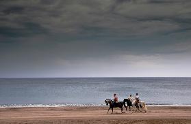 Pferde am Meer in Andalusien