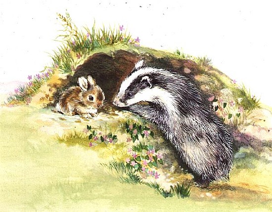 Badger and a Rabbit  od Diane  Matthes