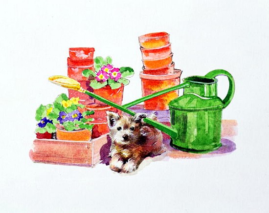 Terrier amongst Terracotta Pots  od Diane  Matthes