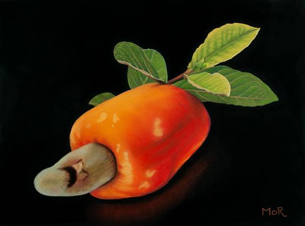 Cashewfrucht od Dietrich Moravec