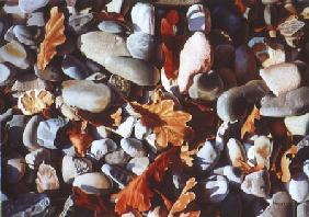 Oak leaves pebble