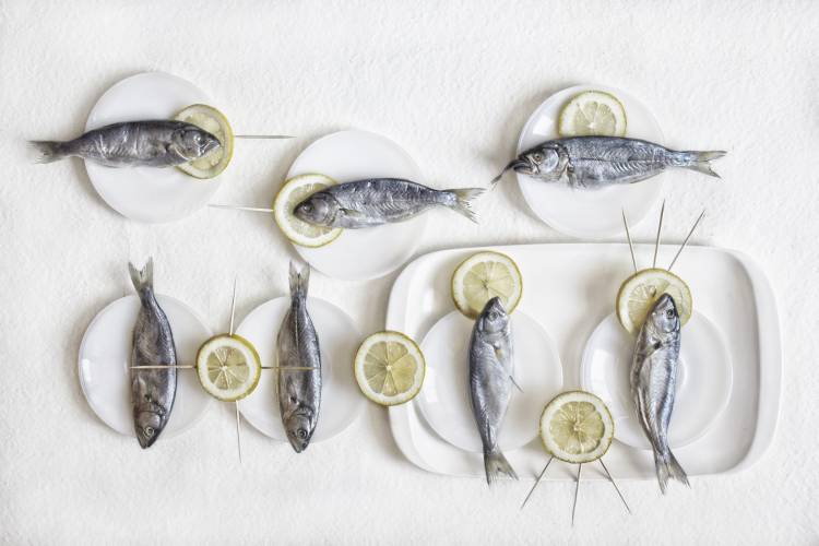 Still Life with Fish od Dimitar Lazarov
