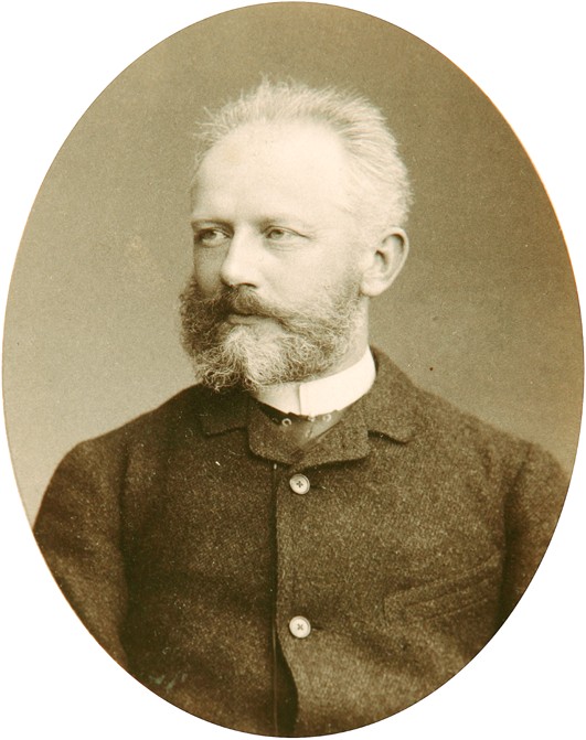 Portrait of the composer Pyotr I. Tchaikovsky (1840-1893) od Dimitrij Grigorjewitsch Lewizkij