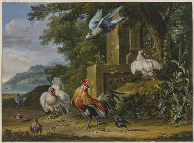 Ein Hahn und zwei Hennen mit ihren Jungen von einem Raubvogel überfallen