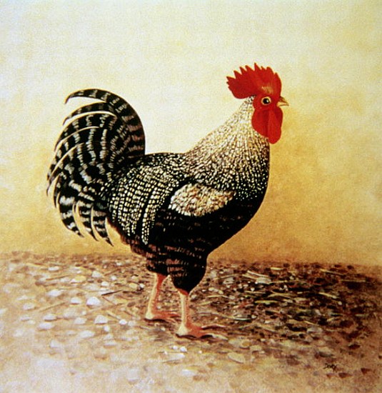 Speckled Rooster (acrylic on canvas)  od Dory  Coffee