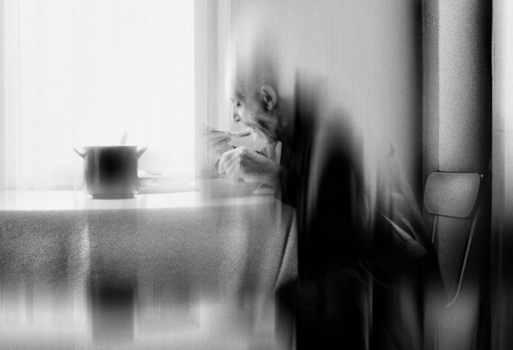 Dining in the silence of oblivion od Dragan Ristic