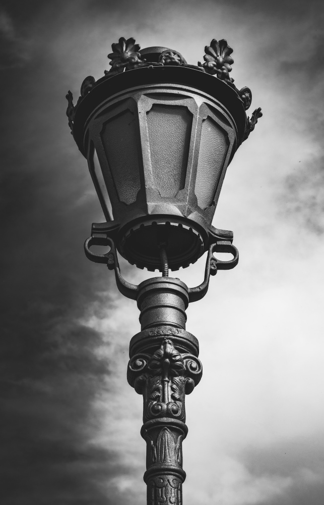 Portrait of lampshade od Dragan Trosic