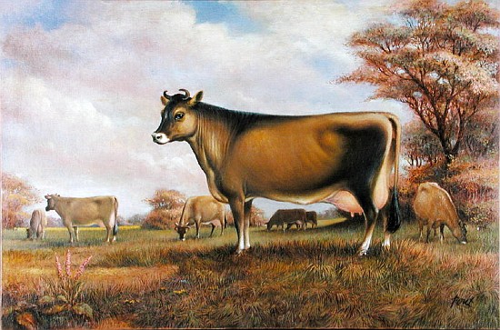 Jersey Cow (oil on canvas)  od Dudley  Pout