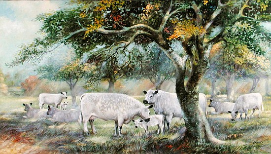 Orchard Sunlight (oil on canvas)  od Dudley  Pout