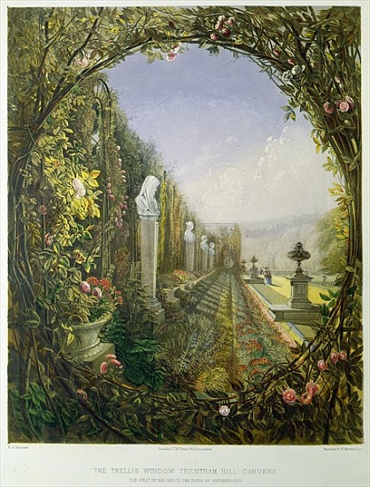 The Trellis Window, Trentham Hall Gardens, from ''Gardens of England'', published 1857 od E. Adveno Brooke