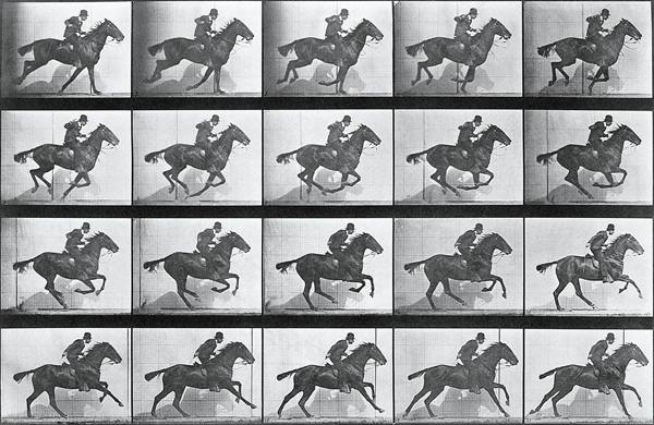 Galloping Horse, plate 628 from ''Animal Locomotion'', 1887 (b/w photo)  od Eadweard Muybridge