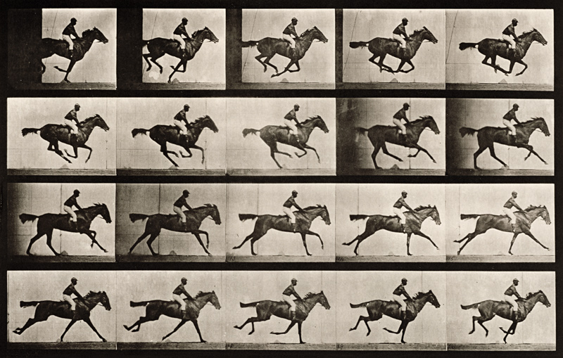 Jockey on a galloping horse, plate 627 from ''Animal Locomotion'', 1887 (b/w photo)  od Eadweard Muybridge