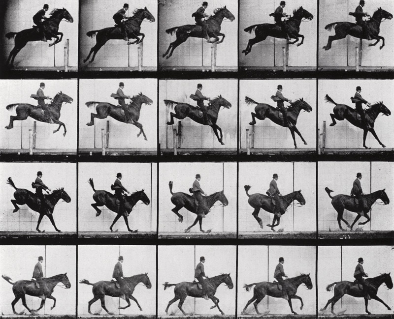 Man and Horse jumping, from ''Animals in Motion'' by Muybridge, London, published 1907 (b/w photo)  od Eadweard Muybridge