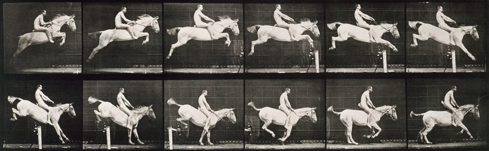 Man and horse jumping a fence, plate 643 from ''Animal Locomotion'', 1887 (b/w photo)  od Eadweard Muybridge