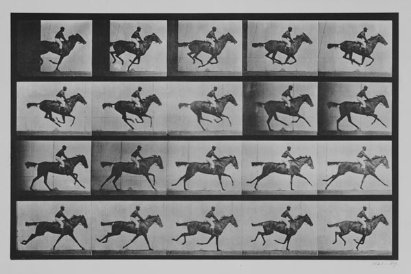 Jockey on a galloping horse, plate 627 from "Animal Locomotion" od Eadweard Muybridge