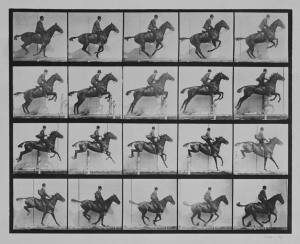 Man and horse jumping a fence, plate 640 from 'Animal Locomotion', 1887 (b/w photo) od Eadweard Muybridge