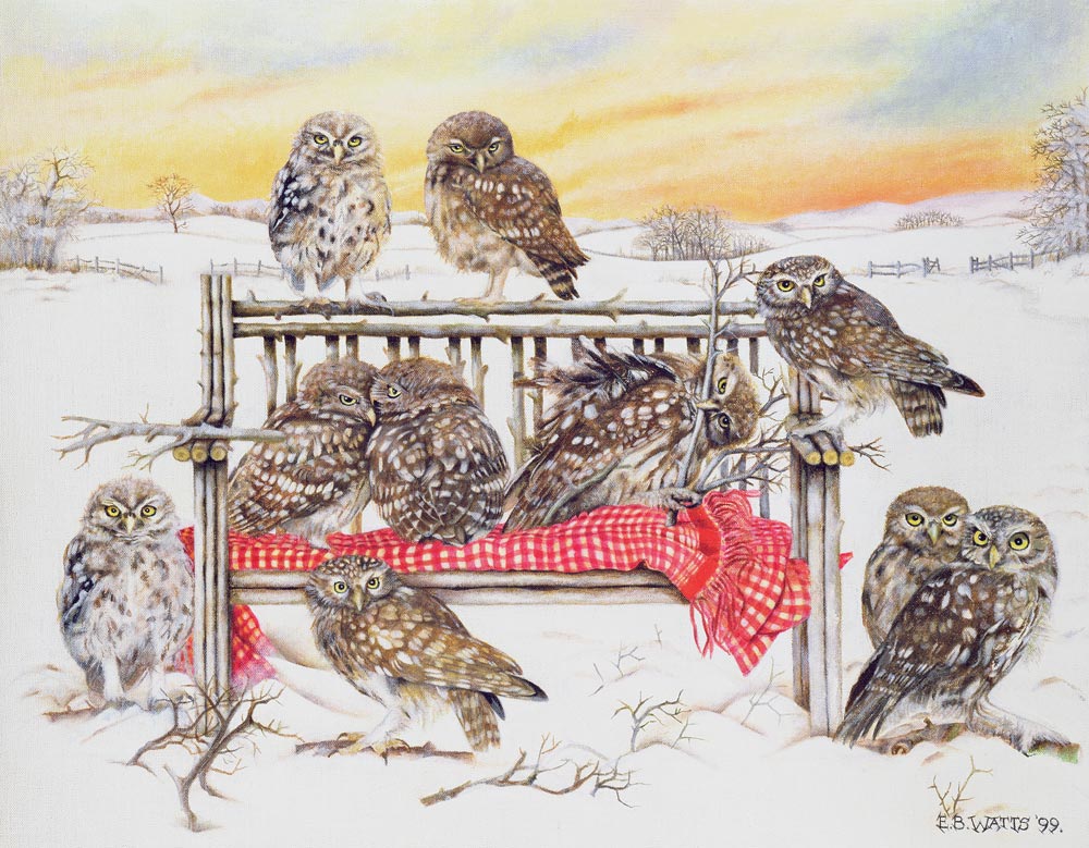 Little Owls on Twig Bench, 1999 (acrylic on canvas)  od E.B.  Watts