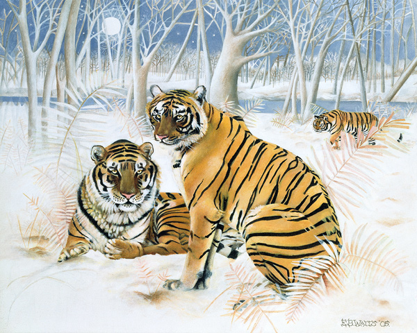 Tigers in the Snow od E.B.  Watts