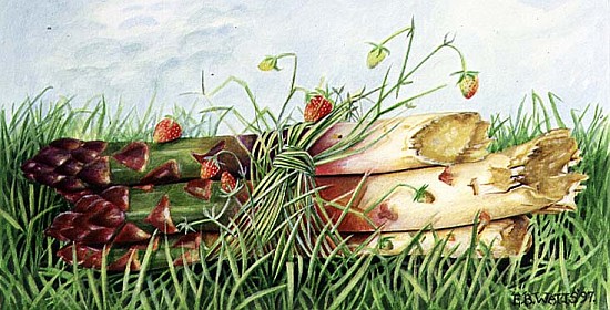 Asparagus Tied with Wild Strawberries, 1997 (acrylic on paper)  od E.B.  Watts