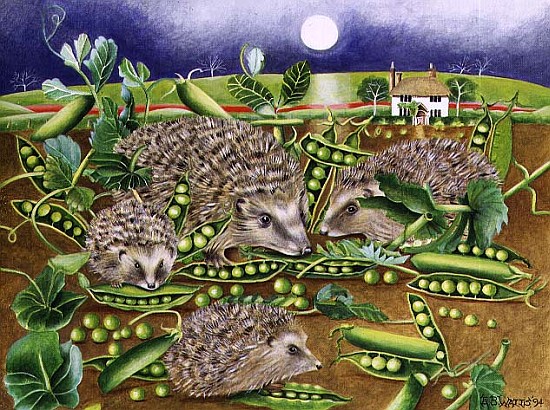 Hedgehogs with Peas beside a Poppy field at night, 1994 (acrylic)  od E.B.  Watts