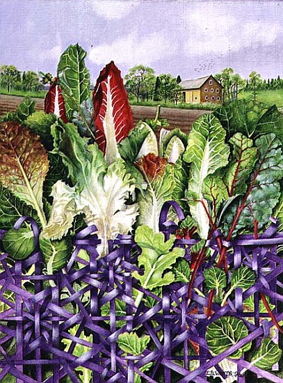 Lettuce Leaves in Purple Wicker, 1996 (acrylic on paper)  od E.B.  Watts