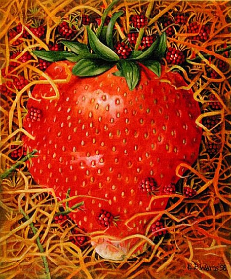 Strawberry in Straw, 1998 (acrylic on canvas)  od E.B.  Watts